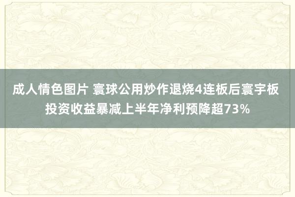 成人情色图片 寰球公用炒作退烧4连板后寰宇板 投资收益暴减上半年净利预降超73%