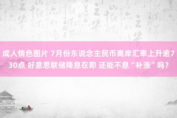 成人情色图片 7月份东说念主民币离岸汇率上升逾730点 好意思联储降息在即 还能不息“补涨”吗？