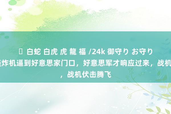 ✨白蛇 白虎 虎 龍 福 /24k 御守り お守り 中俄核轰炸机逼到好意思家门口，好意思军才响应过来，战机伏击腾飞