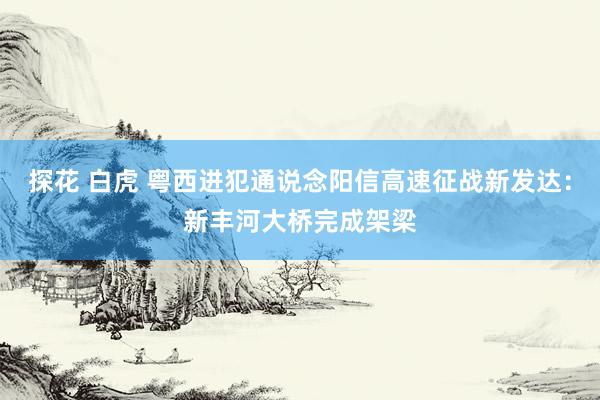 探花 白虎 粤西进犯通说念阳信高速征战新发达：新丰河大桥完成架梁