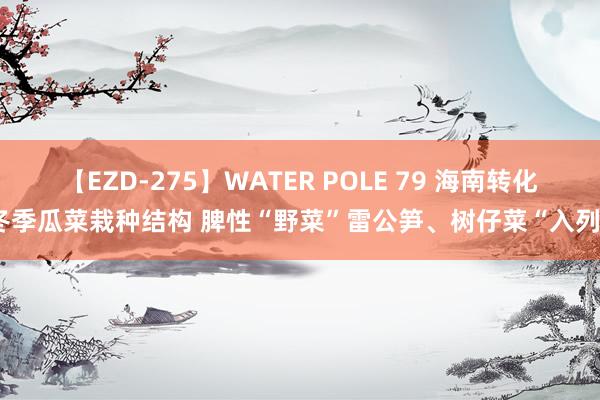 【EZD-275】WATER POLE 79 海南转化冬季瓜菜栽种结构 脾性“野菜”雷公笋、树仔菜“入列”