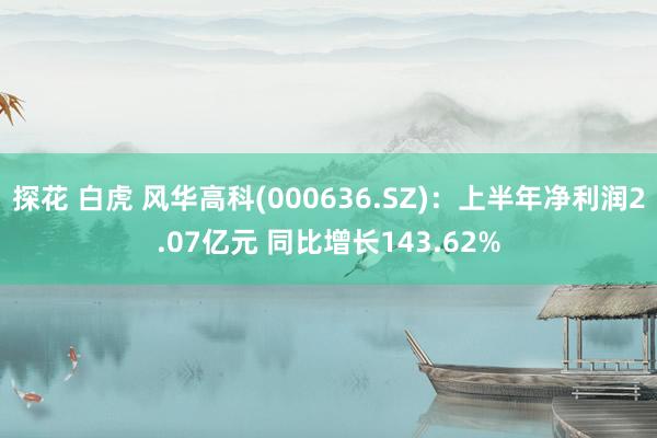 探花 白虎 风华高科(000636.SZ)：上半年净利润2.07亿元 同比增长143.62%