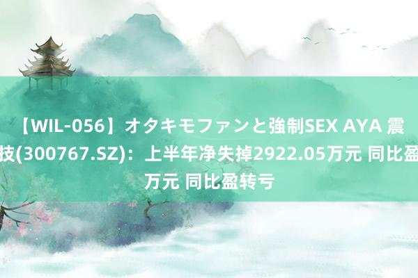 【WIL-056】オタキモファンと強制SEX AYA 震安科技(300767.SZ)：上半年净失掉2922.05万元 同比盈转亏