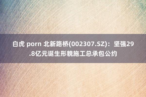 白虎 porn 北新路桥(002307.SZ)：坚强29.8亿元诞生形貌施工总承包公约